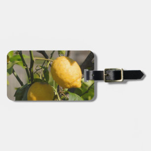 Spanish Lemon Graphics Luggage Tag