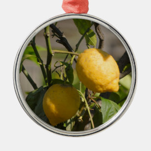 Spanish Lemon Graphics Metal Tree Decoration