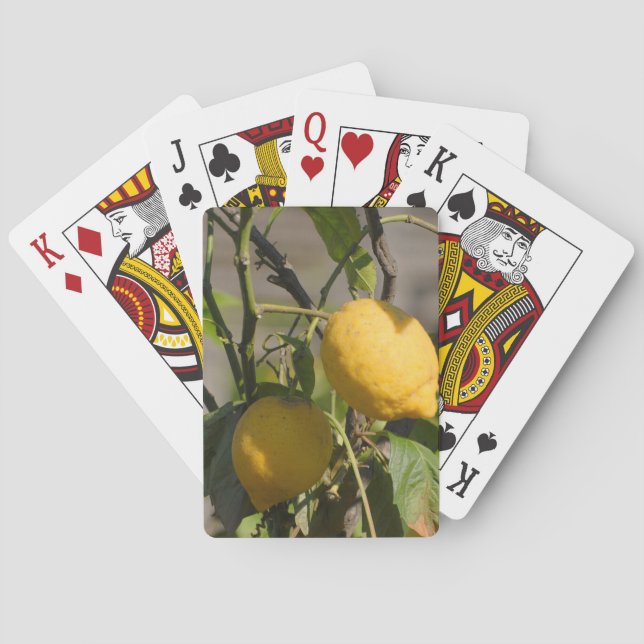 Spanish Lemon Graphics Playing Cards (Back)