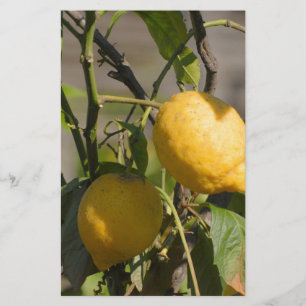 Spanish Lemon Graphics Stationery