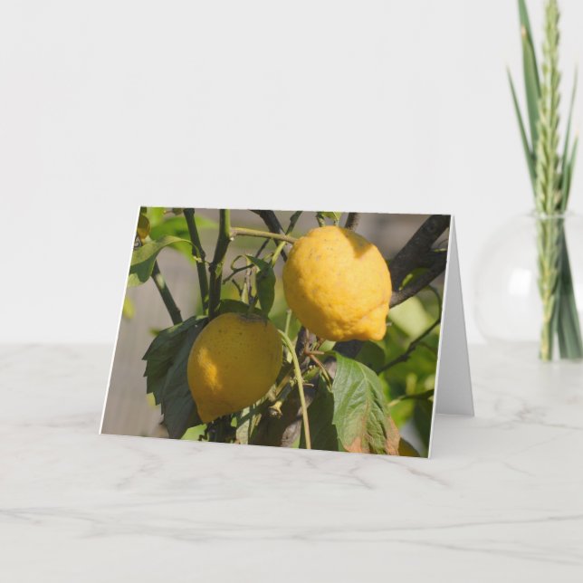 Spanish Lemon Greeting Cards (Front)