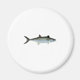 Spanish Mackerel Art Magnet