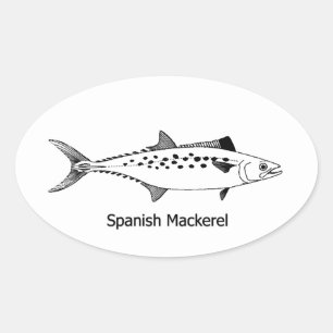 Spanish Mackerel - Vintage Line Art Oval Sticker