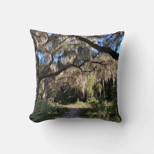 Spanish Moss Cushion (Front)