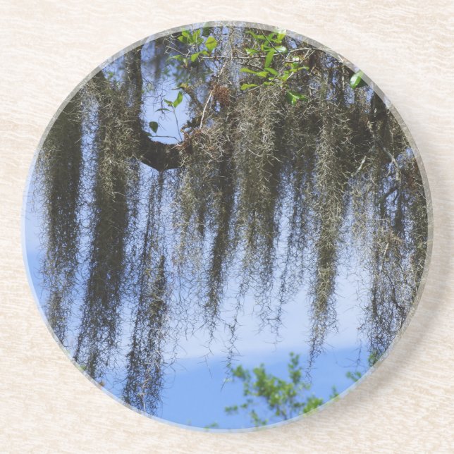 Spanish Moss in the Blue Ridge Mountains Coaster (Front)
