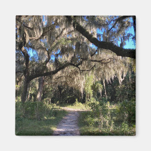 Spanish Moss Magnet