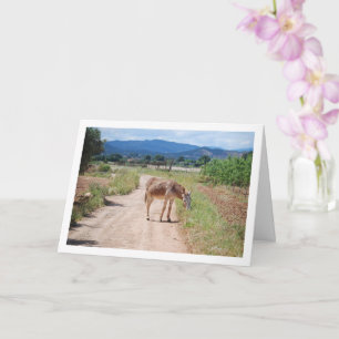 Spanish Mule on Country Road Card
