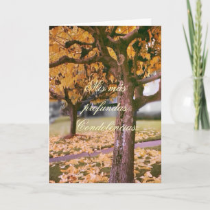 Spanish: Pesame /Sympathy Card