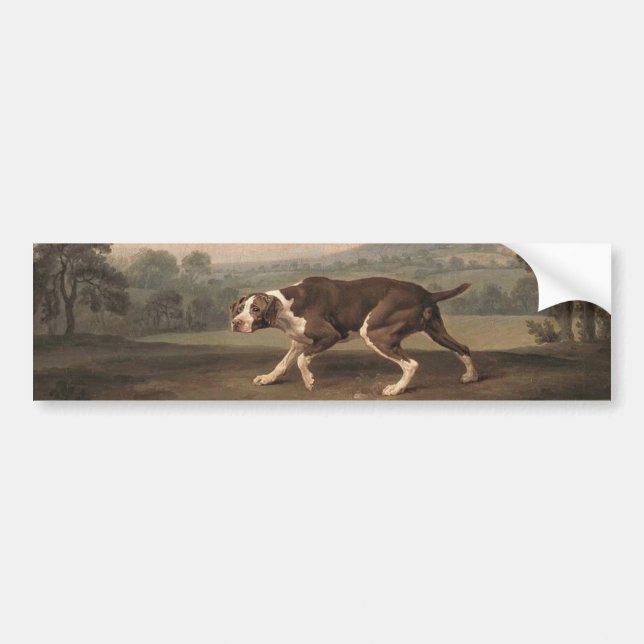 Spanish Pointer Dog (by George Stubbs) Bumper Sticker (Front)