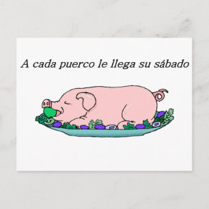 Spanish Quotes Postcard