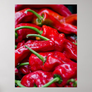 Spanish red Peppers Poster