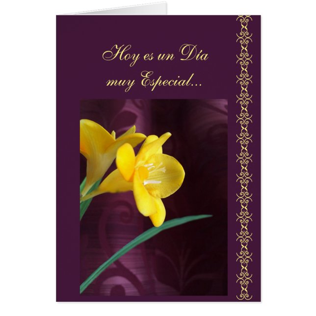 Spanish: Special day (Front)