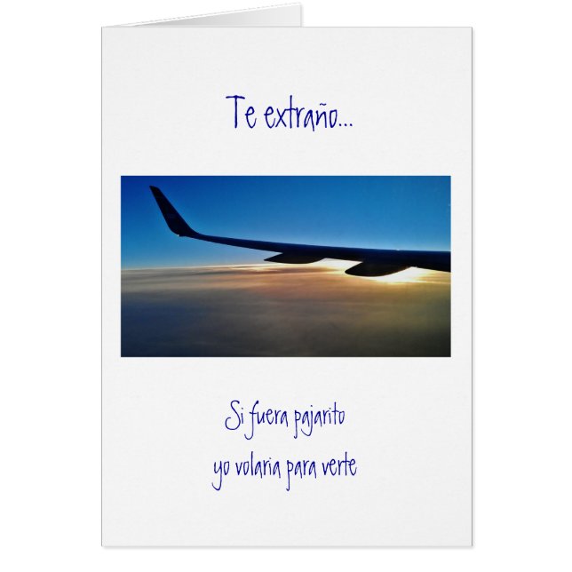 Spanish: Surprise trip/ Viaje sorpresa (Front)