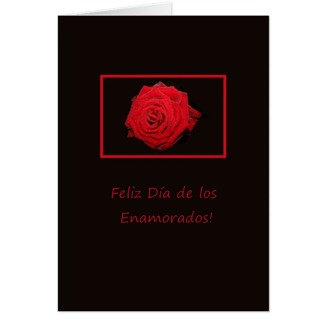 Spanish Valentine's Day Roses (Front)