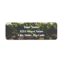 Spanish Vineyard Address Labels