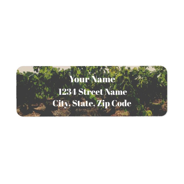 Spanish Vineyard Address Labels (Front)