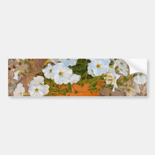 Spanish Wall Bumper Sticker