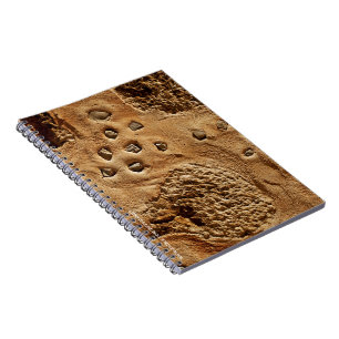 Spanish Wall Notebook