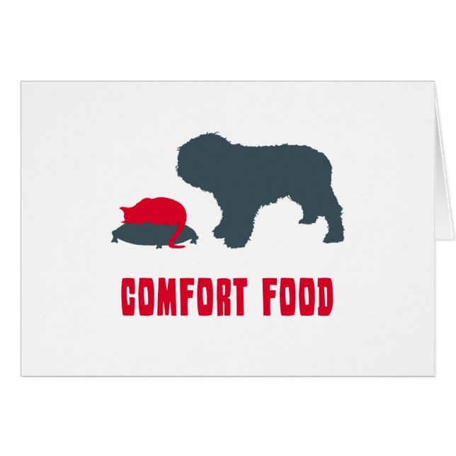 Spanish Water Dog (Front Horizontal)