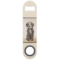 Spanish Water Dog Painting - Cute Original Dog Art