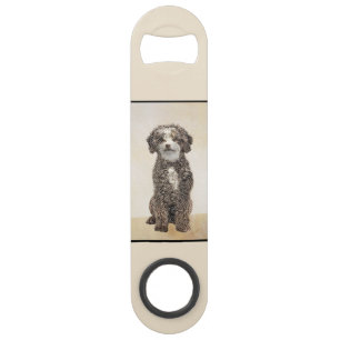 Spanish Water Dog Painting - Cute Original Dog Art