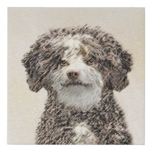 Spanish Water Dog Painting - Cute Original Dog Art Faux Canvas Print