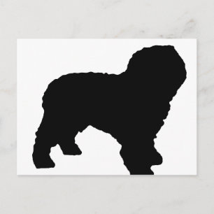 spanish_water_dog_silho.png postcard