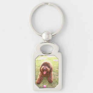 spanish water dog w toy.png key ring