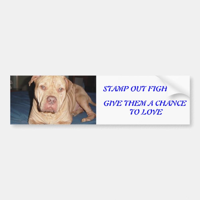 SPANKY BUMPER STICKER (Front)