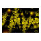 Sparkle 5 Beautiful Gold Abstract Pattern