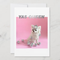 Sparkle The Tiny Chi | Dog Lover Congrats Photo