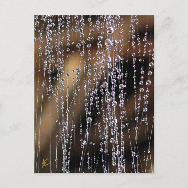 Sparkling Dew Drop Bead Curtain, Magical Postcard (Front)