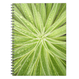 Sparkling Drops Notebook
