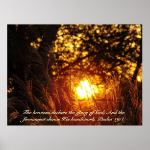Sparkling Grass Sunset poster