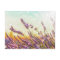Sparkling lavender