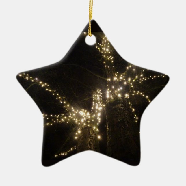 Sparkling Outdoor Tree Lights Star Ornament (Front)