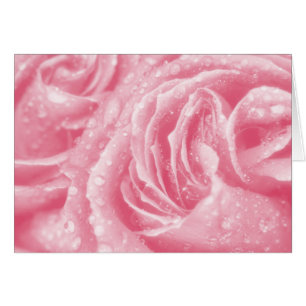 Sparkling Pink Rose Card