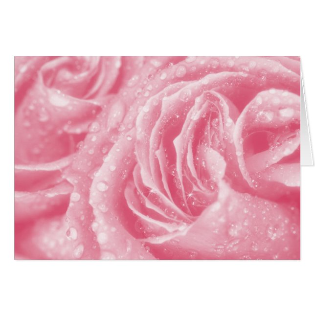 Sparkling Pink Rose Card (Front Horizontal)