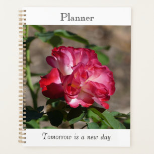 Sparkling Rose Planner