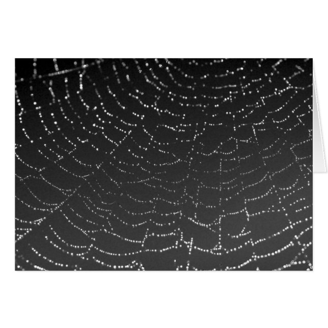 Sparkling Spiderweb (Front Horizontal)