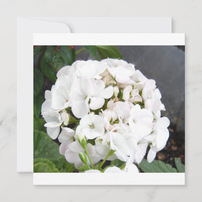 Sparkling White Flowers Wedding Save The Date (Front)
