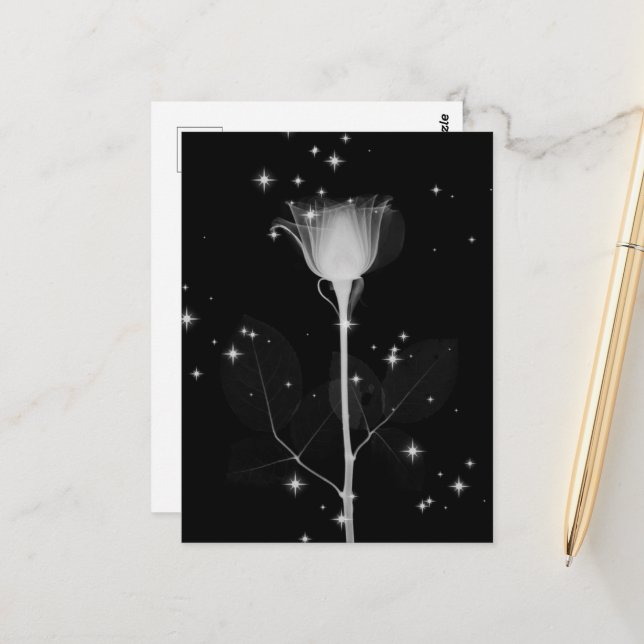 Sparkling X-Ray Flower - B&W Postcard (Front/Back In Situ)