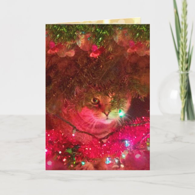 Sparkly Rupie Cat Christmas Holiday Card (Front)