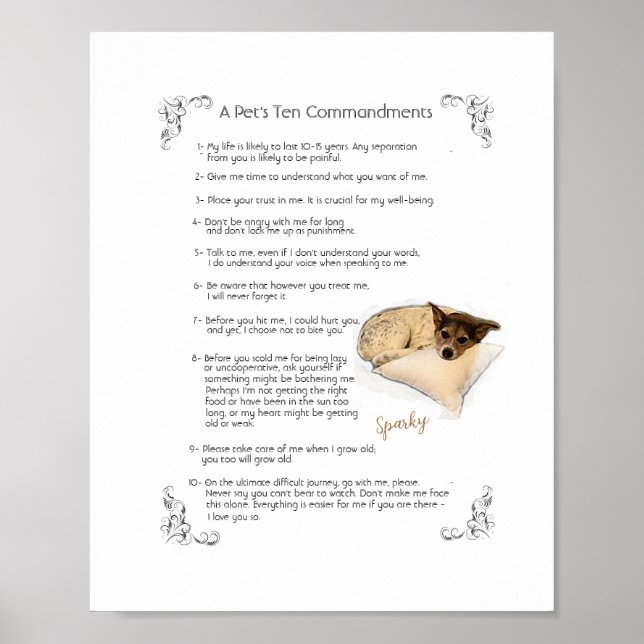 SPARKY a -    Poster (Front)