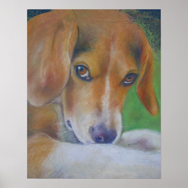 Sparky Dog:  Eyes Poster (Front)