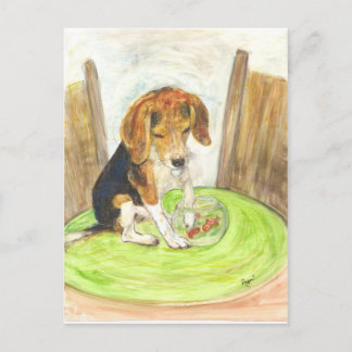 Sparky in the fishbowl postcard