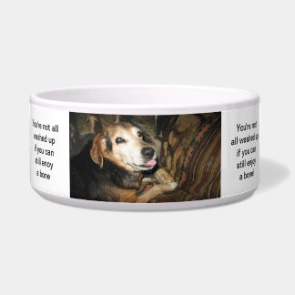 Sparky the Beagle