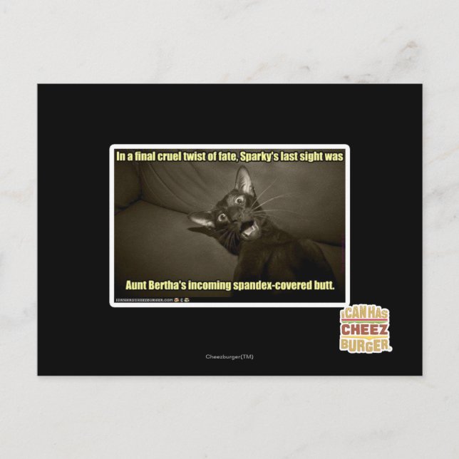 Sparky's last sight postcard (Front)