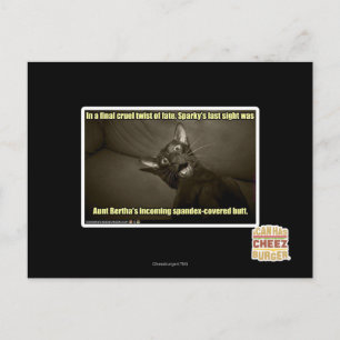Sparky's last sight postcard