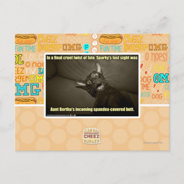 Sparky's last sight postcard (Front)
